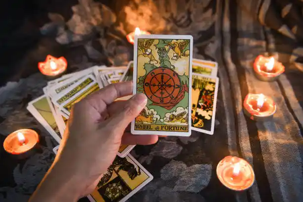 tarot cards University